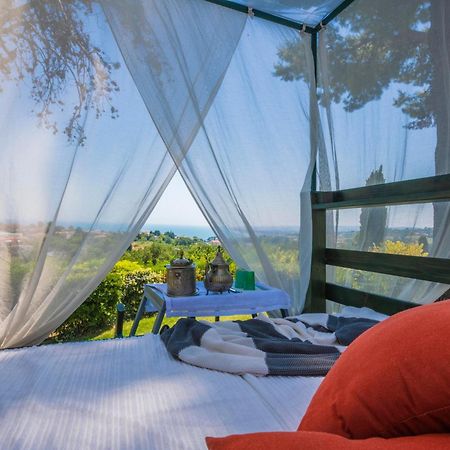 Bed and Breakfast Tra Gli Alberi E Il Mare à Sirolo Extérieur photo