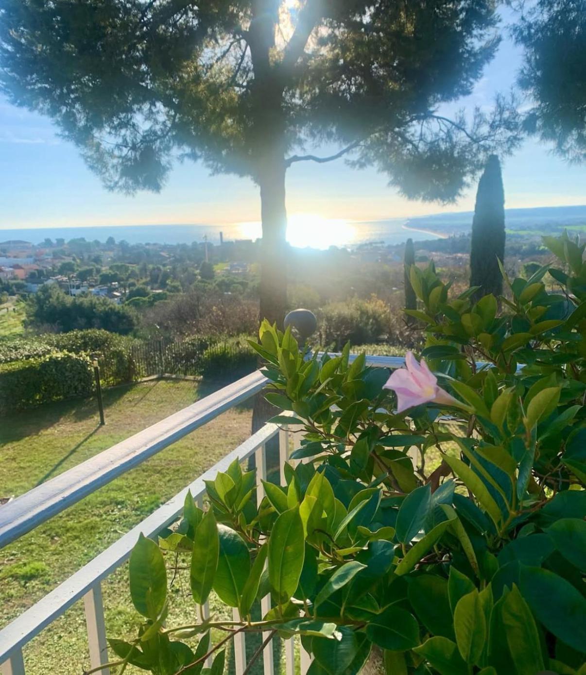 Bed and Breakfast Tra Gli Alberi E Il Mare à Sirolo Extérieur photo