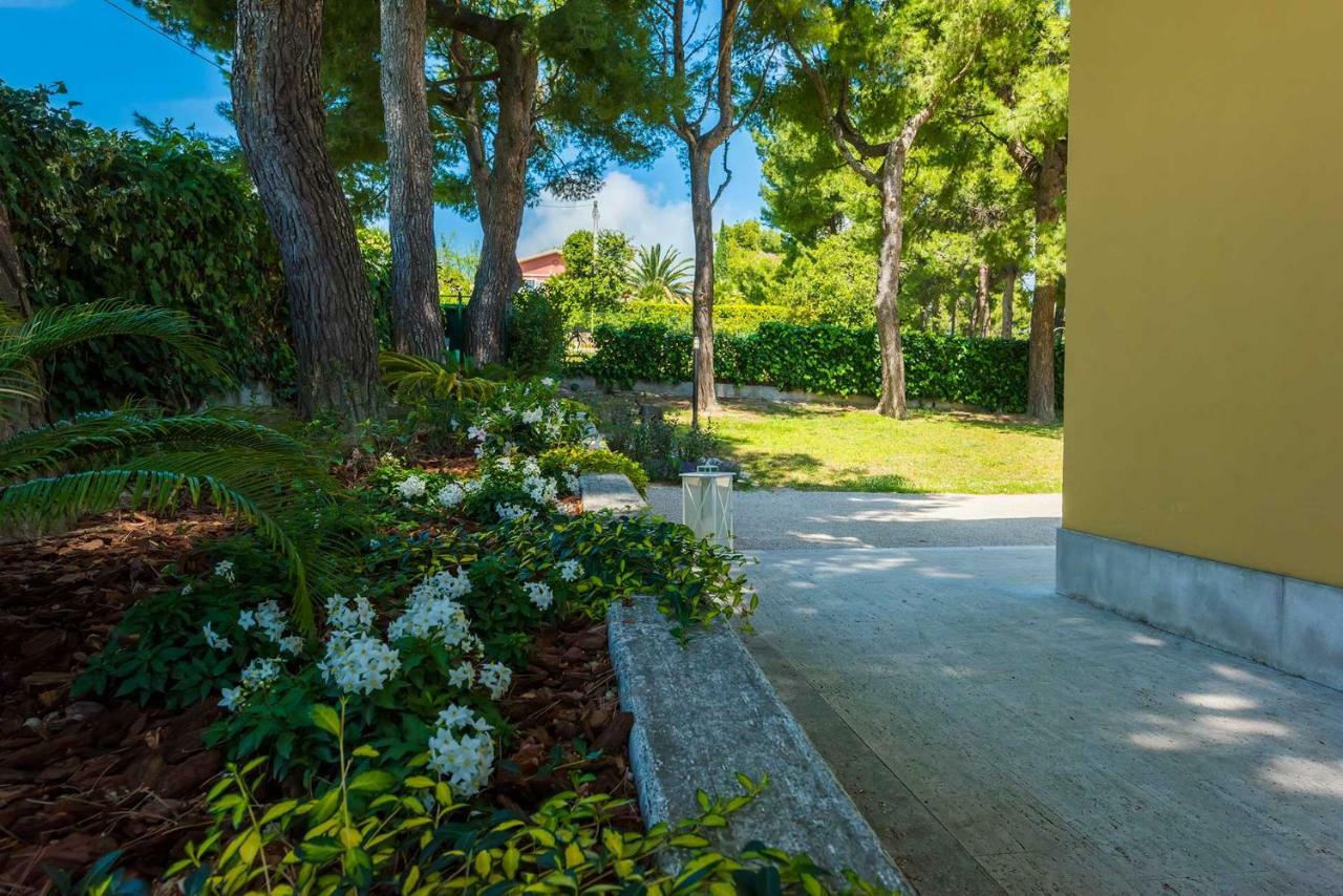 Bed and Breakfast Tra Gli Alberi E Il Mare à Sirolo Extérieur photo